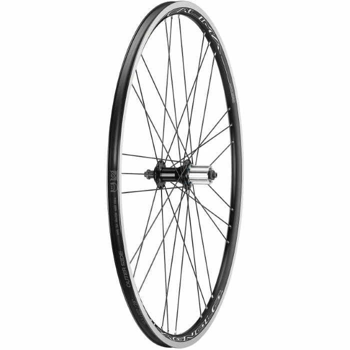 Campagnolo® Campagnolo Calima C17 Rear Wheel - Billede 2