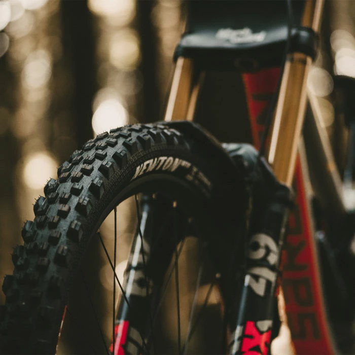 Goodyear Newton MTF Downhill Tubeless Complete Tyre - Billede 5