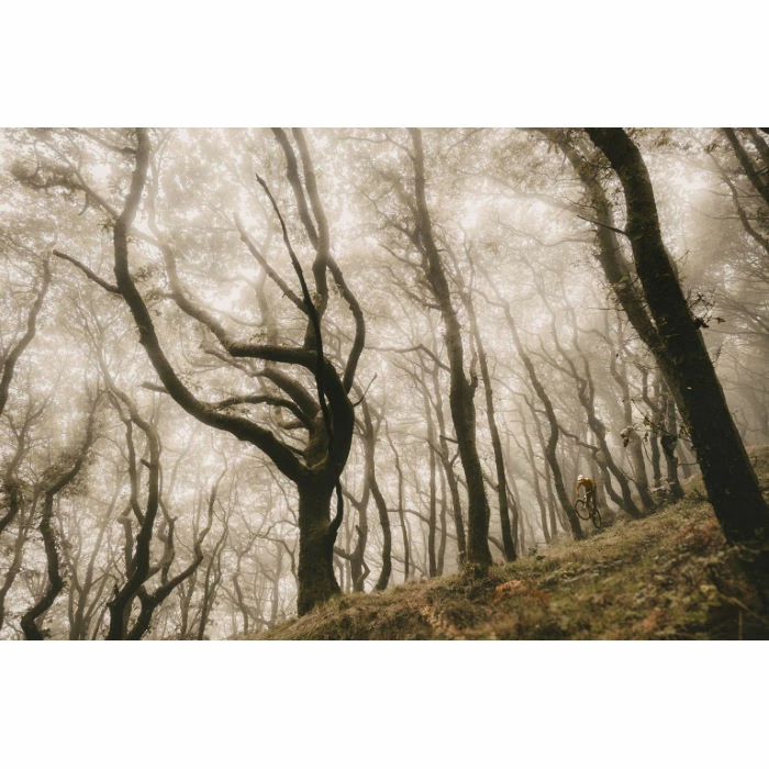 Goodyear Newton MTF Downhill Tubeless Complete Tyre - Billede 11