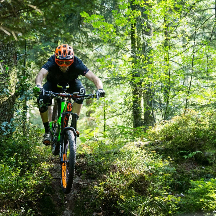 Michelin Force AM Competition MTB Dæk - Billede 3